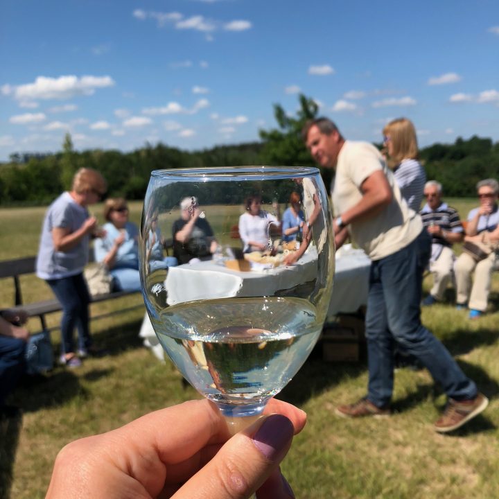 The Secret Barefoot Experience Transform Your Day at a Magic Vineyard